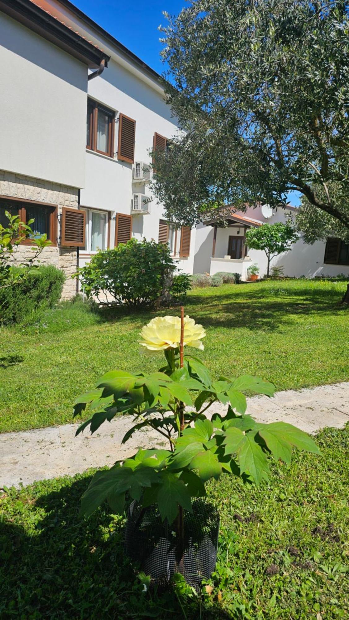 Apartments Dina Pula Zewnętrze zdjęcie